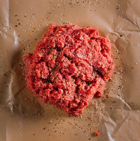 Ground Bison - Image 4