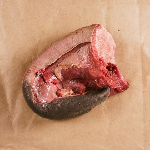 Bison Tongue - Image 2