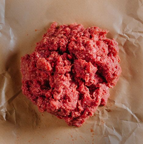 Ground Bison - Image 6