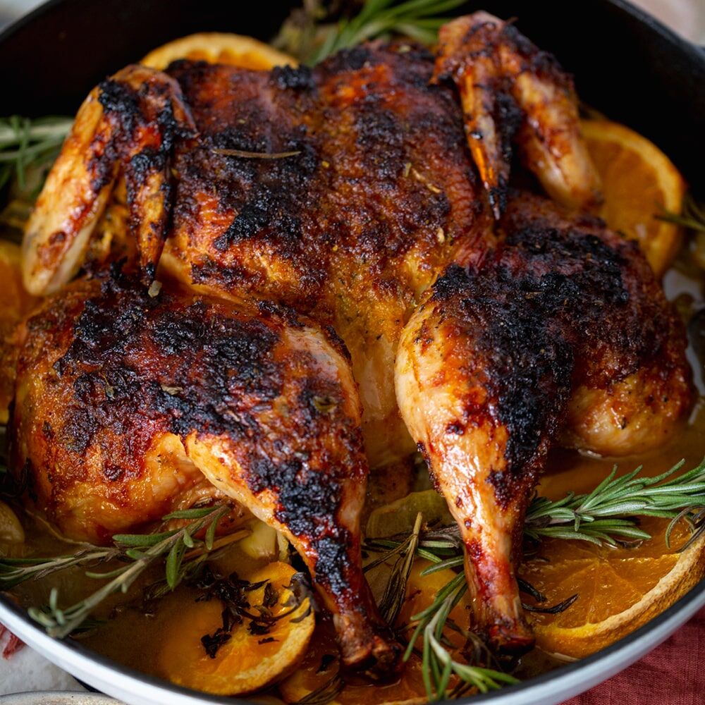 Family Feast — Large